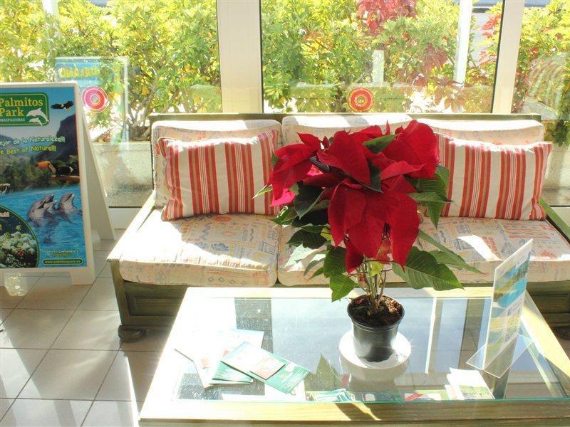 Bungalows Cordial Sandy Golf Maspalomas  Bagian luar foto