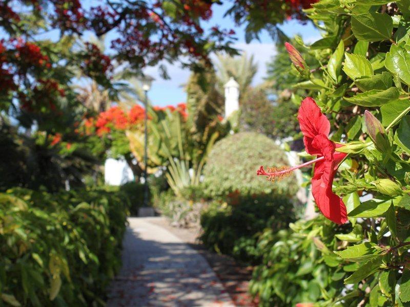 Bungalows Cordial Sandy Golf Maspalomas  Bagian luar foto