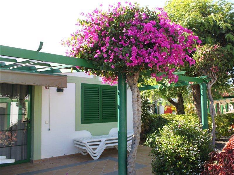 Bungalows Cordial Sandy Golf Maspalomas  Bagian luar foto